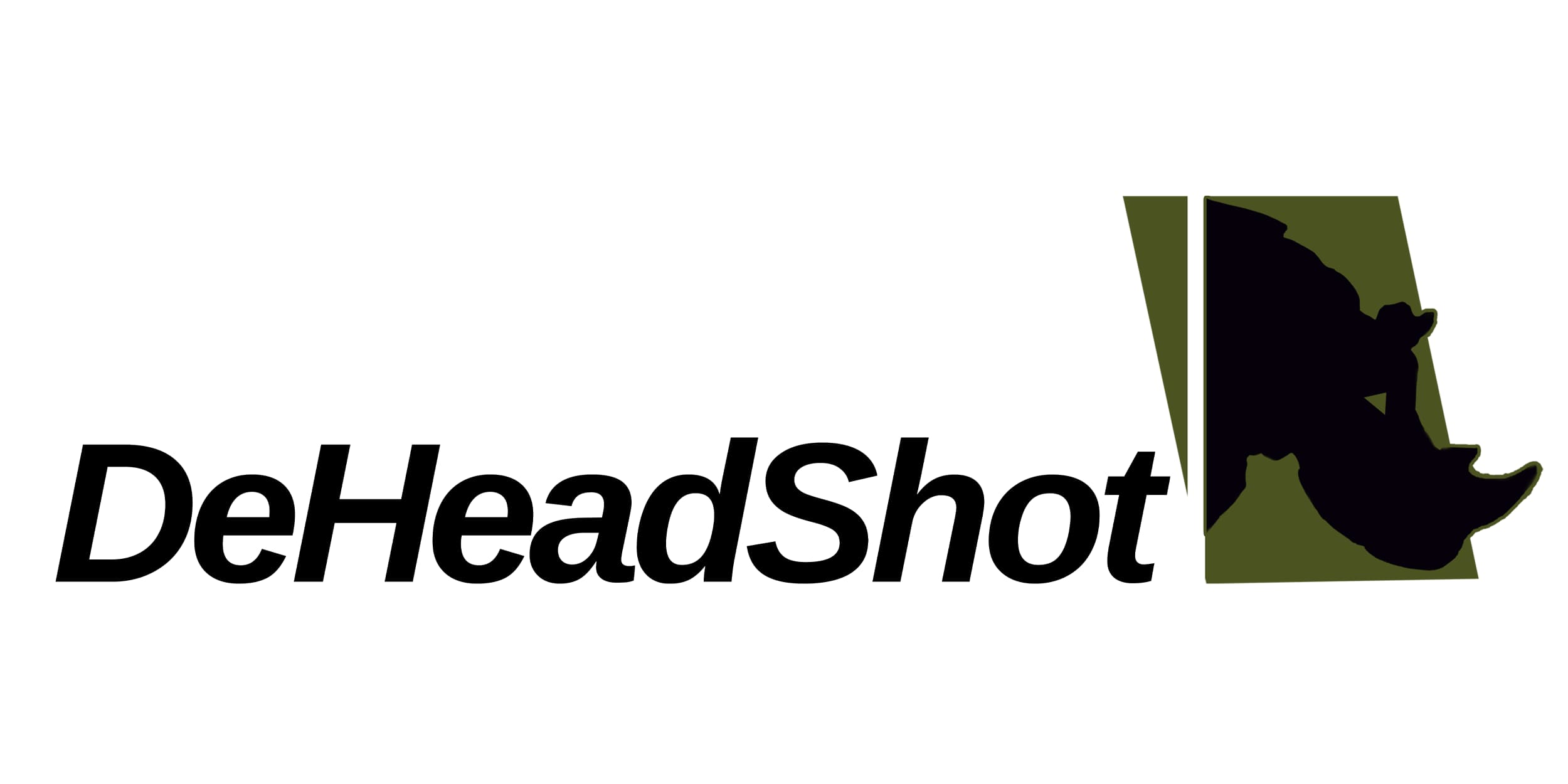 DE HEADSHOTS